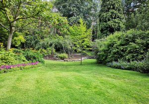 Optimiser l'expérience du jardin à Biaches